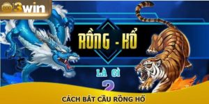 Cách Bắt Cầu Rồng Hổ Chuẩn Xác, Hiệu Quả Của Cao Thủ