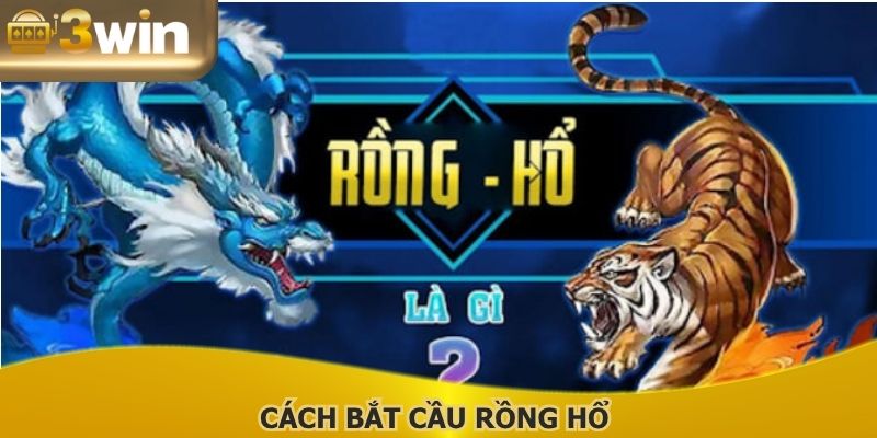 Cách Bắt Cầu Rồng Hổ Chuẩn Xác, Hiệu Quả Của Cao Thủ
