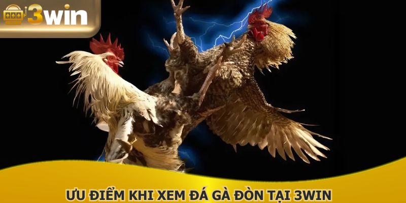 Đá gà đòn trực tiếp 3WIN với nhiều ưu điểm nổi bật