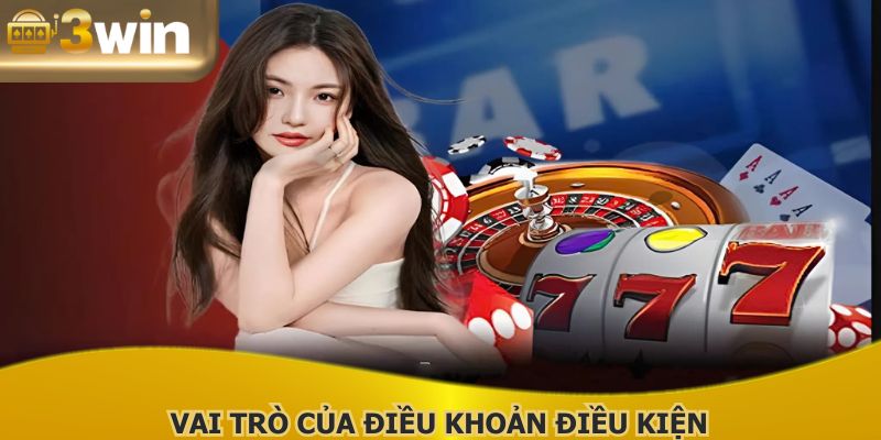 Điều khoản điều kiện giữ vai trò vô cùng quan trọng