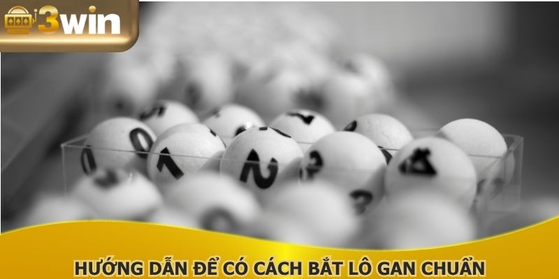 Hướng dẫn để có cách bắt lô gan chuẩn
