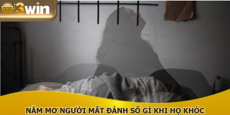Nằm mơ người mất đánh số gì khi họ khóc được giải đáp