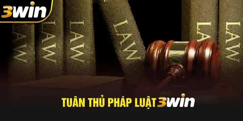 Chơi tại trang chủ 3WIN an toàn tuyệt đối bảo mật đúng pháp luật